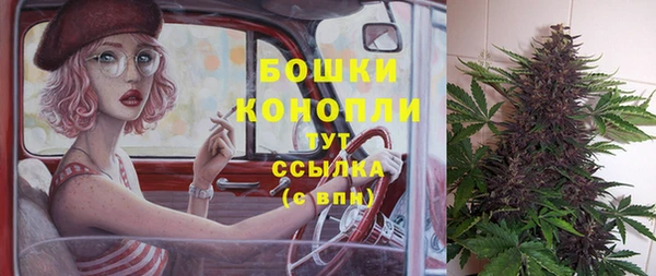 дурь Коряжма