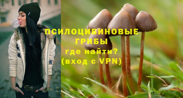 ALPHA PVP Алзамай